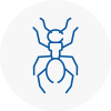 Ant Removals In Devon