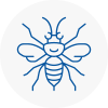 Devon Hornet Nest Removals