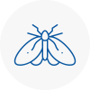Moth Control Specialists In Devon