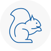 Devon Rodent Removals
